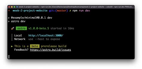 prettier npm|how to run prettier npm.